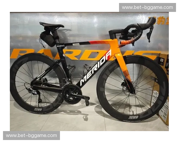 公路车数据替补 公路车数据替补